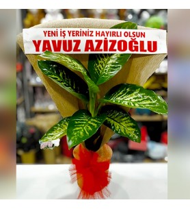 Tropik Çiçeği Büyük Boy