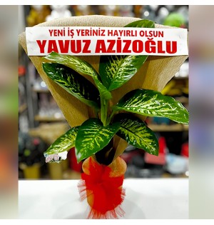 Tropik Çiçeği Büyük Boy