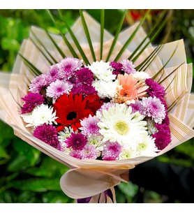 Karışık Kasımpatı Gerbera Buketi