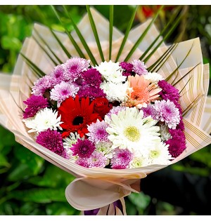 Karışık Kasımpatı Gerbera Buketi
