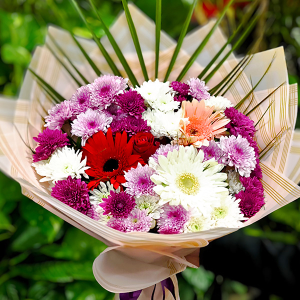 Karışık Kasımpatı Gerbera Buketi